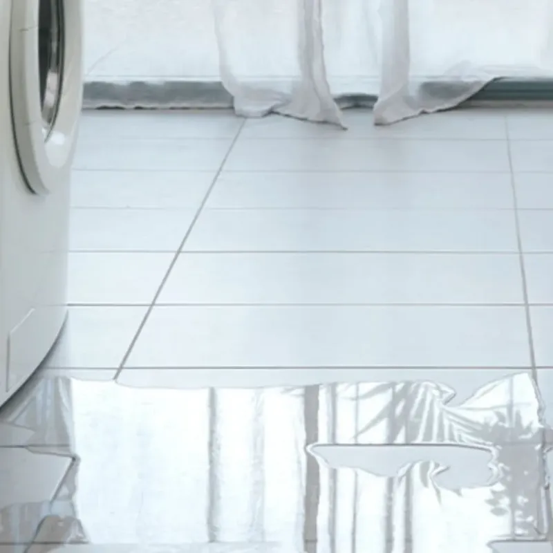 Appliance Leak Cleanup in La Grange, IL